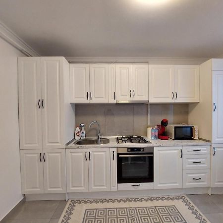 Trandafirului Residence Central Suceava Dış mekan fotoğraf