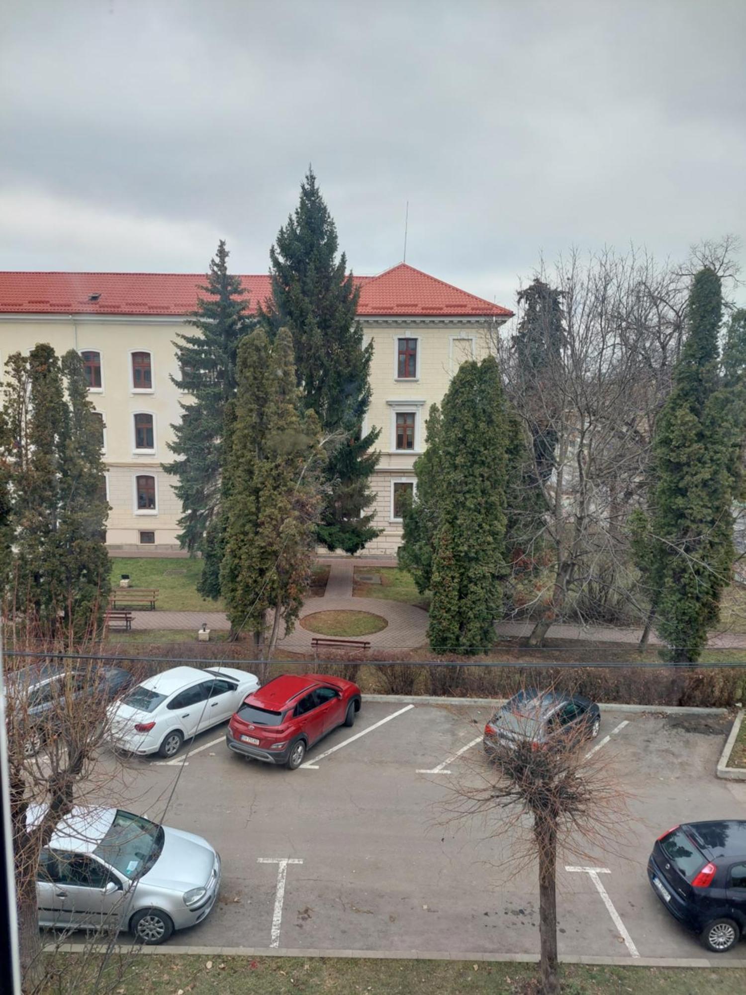 Trandafirului Residence Central Suceava Dış mekan fotoğraf